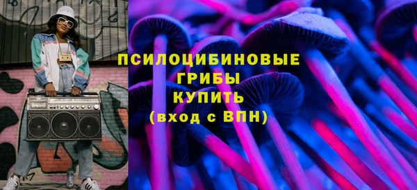 круглые Абаза