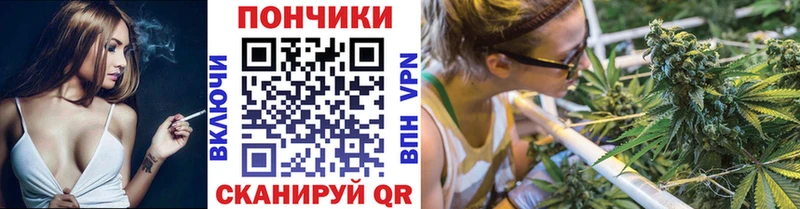 Каннабис индика Курчатов
